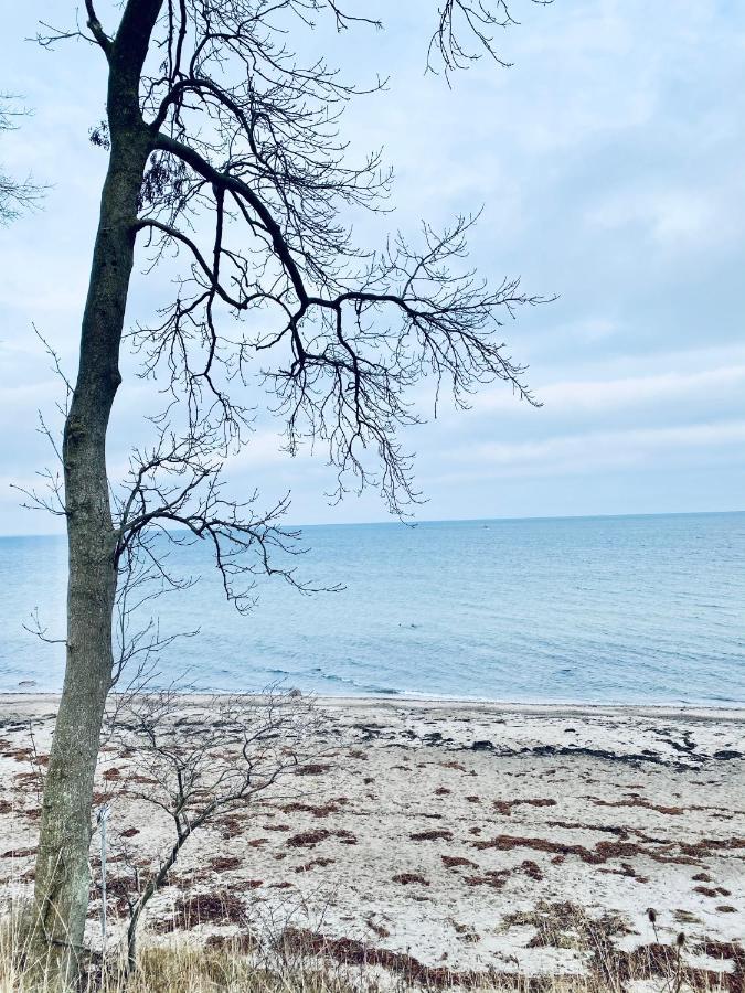 Landlebenliebe Villa Neukirchen  Екстериор снимка